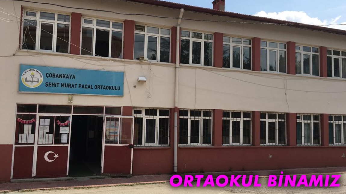 Çobankaya Şehit Murat Paçal Ortaokulu Fotoğrafı